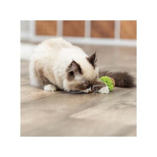 Trixie Matatabi Lolly