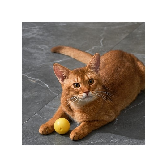 Eti Dynamische Speelbal Kat Assorti