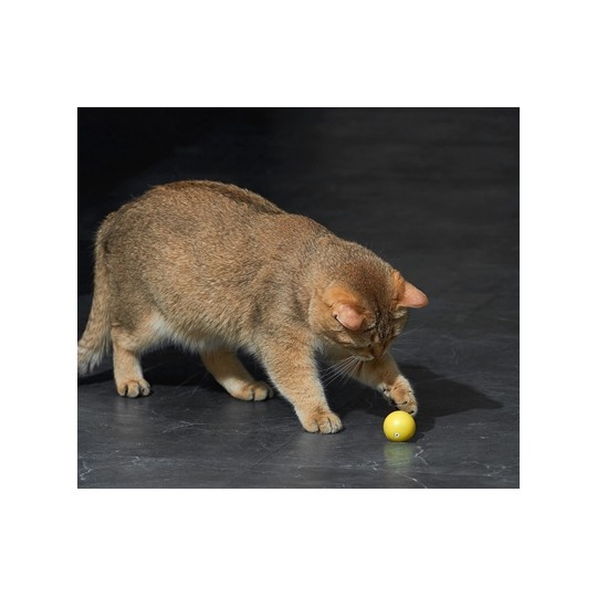 Eti Dynamische Speelbal Kat Assorti