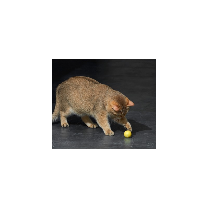 Eti Dynamische Speelbal Kat Assorti