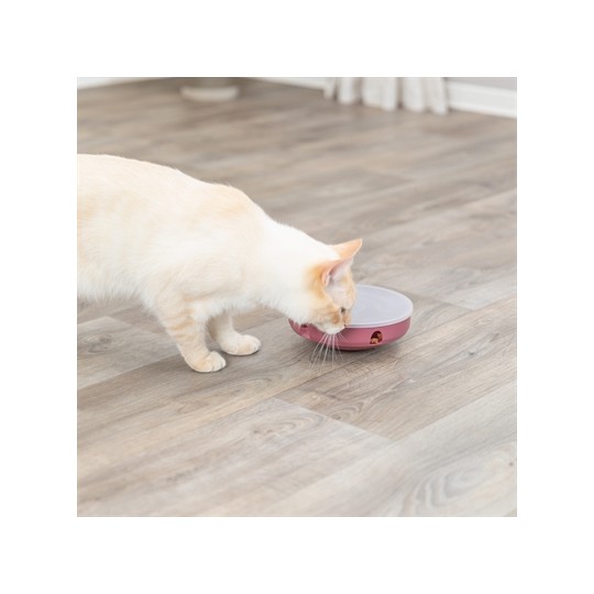 Trixie Cat Activity Rocking Maze Kunststof