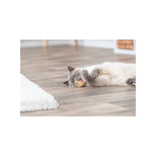 Trixie Matatabi Stokje Met Franjes