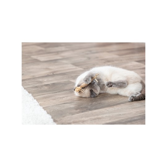 Trixie Matatabi Stokje Met Franjes