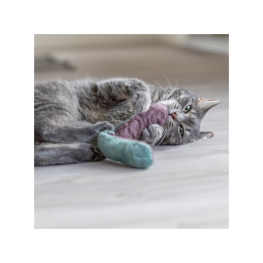 Trixie Speelkussen Rol Met Catnip Assorti