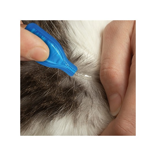 Beaphar Fiprotec Kat Tegen Vlooien & Teken