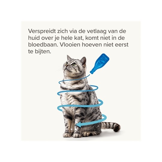 Beaphar Fiprotec Kat Tegen Vlooien & Teken