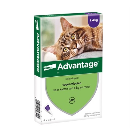 Elanco Advantage Kat