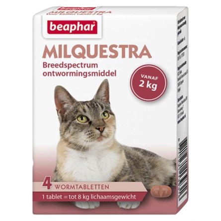 Beaphar Milquestra Kat