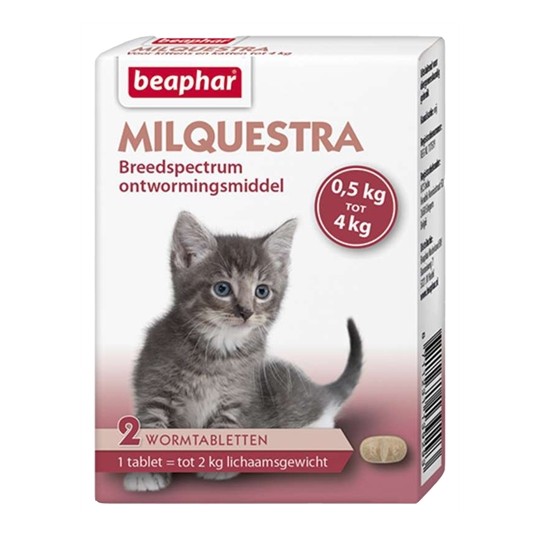 Beaphar Milquestra Kleine Kat / Kitten