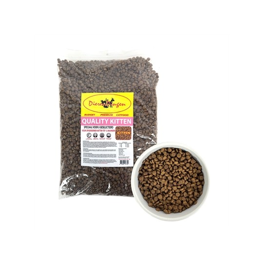 Budget Premium Quality Kitten