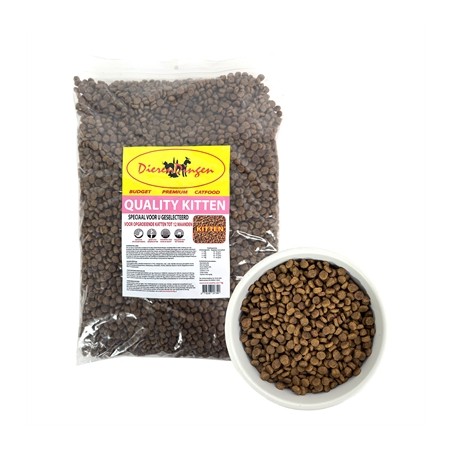 Budget Premium Quality Kitten