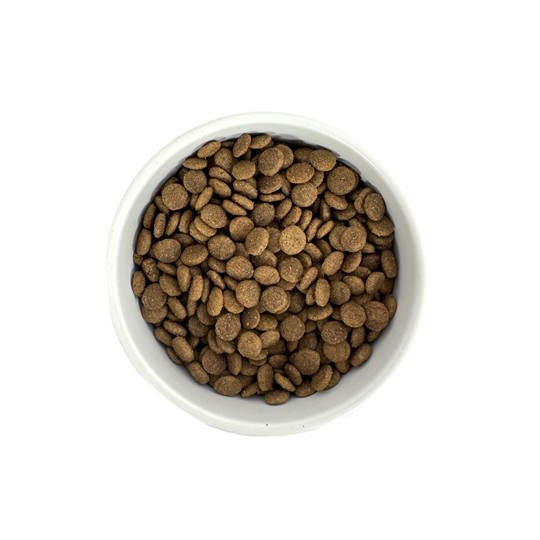 Budget Premium Quality Senior