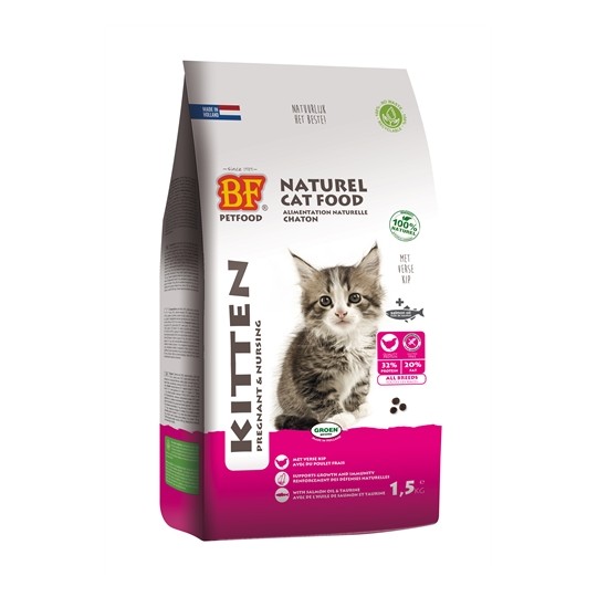 Bf Petfood Premium Quality Kat Kitten Pregnant / Nursing