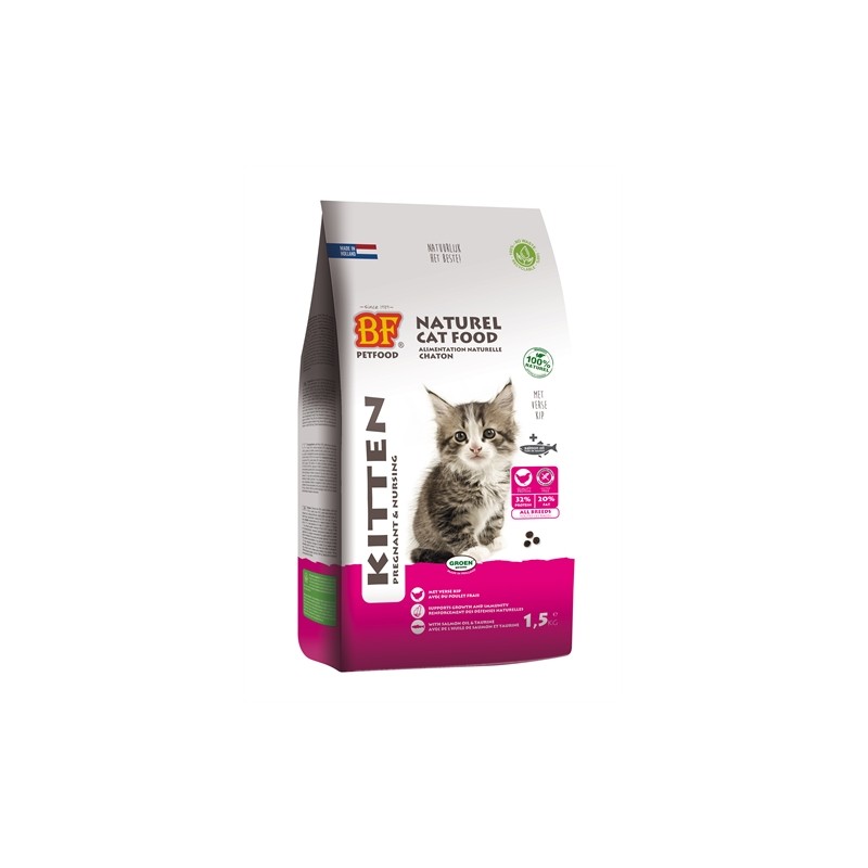 Bf Petfood Premium Quality Kat Kitten Pregnant / Nursing