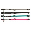 Trixie Halsband Kat My Home Met Adresflap Assorti