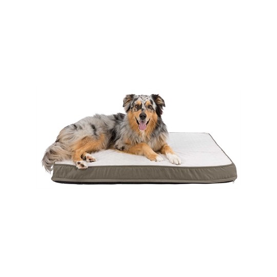 Trixie Vitaal Orthopedisch Kussen Taupe/Lichtgrijs