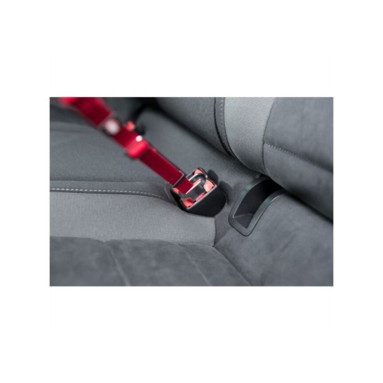 Trixie Kattentuig Voor In De Auto Rood