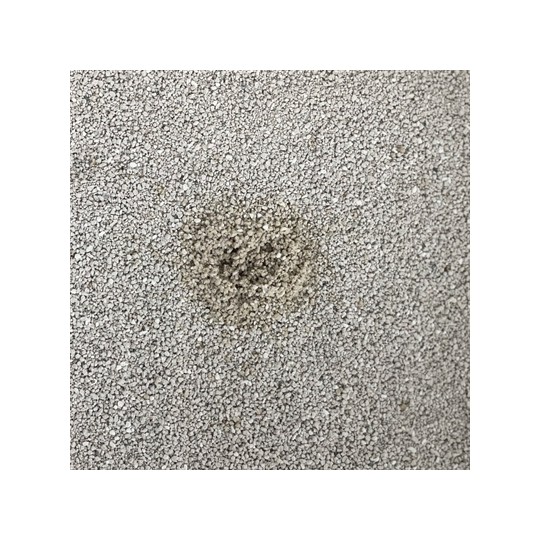 Easypets Premium Clean White Bentonite Kattenbakvulling