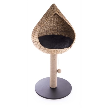 Martin Krabpaal Vietnam Met Mand Druppel Waterhyacint