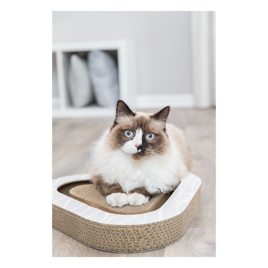 Trixie Krabplank Karton Met 2 Ballen