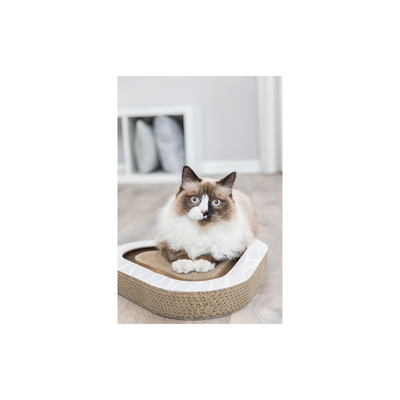 Trixie Krabplank Karton Met 2 Ballen