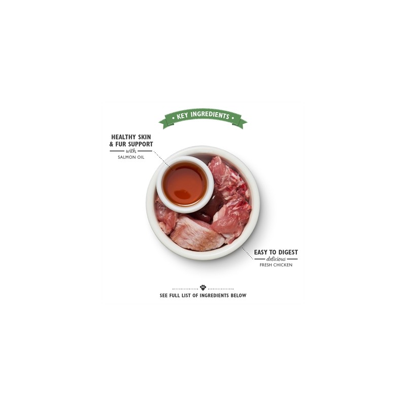 Lily's Kitchen Cat Smooth Pate Chicken