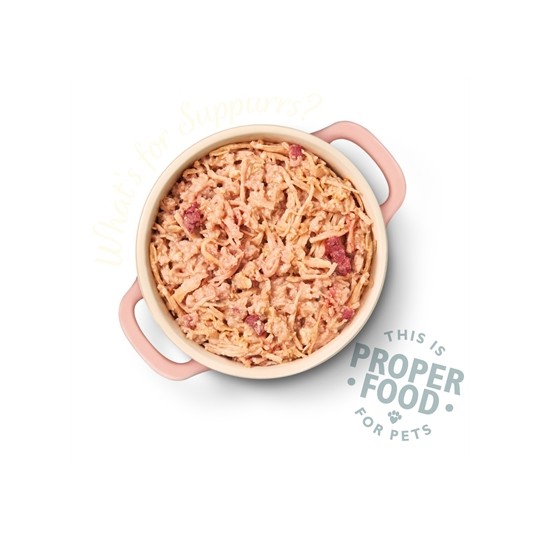 Lily's Kitchen Cat Organic Fish Pate