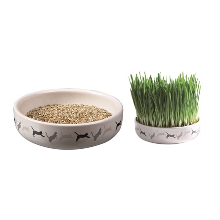 Trixie Kattengraszaad 50Gr In Keramiek