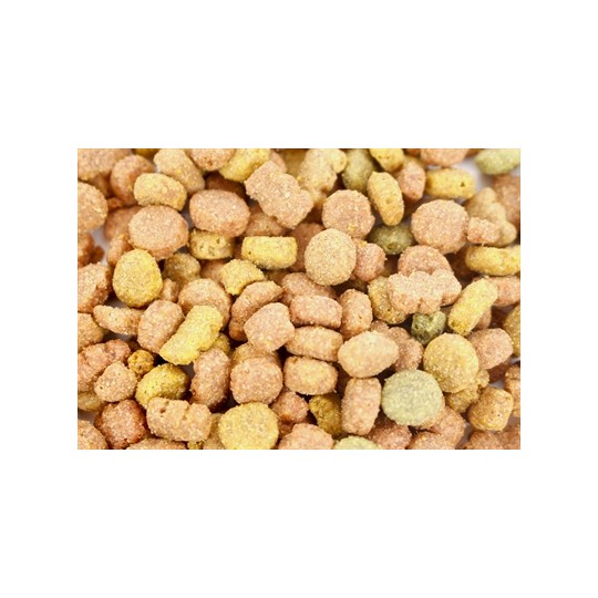 I Am Kattensnoep Rund