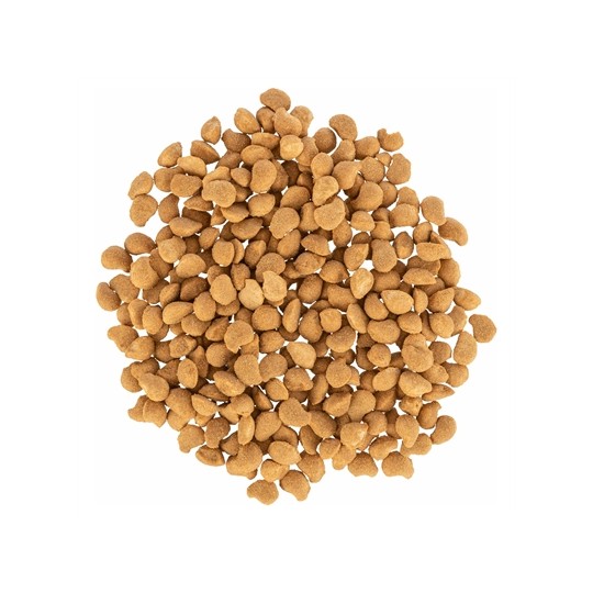 Trixie Nuggets Met Kippenborst En Zalm