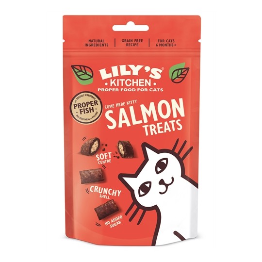 Lily's Kitchen Salmon Treats