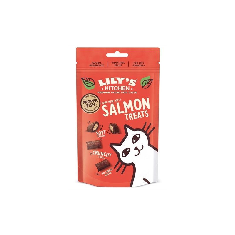 Lily's Kitchen Salmon Treats