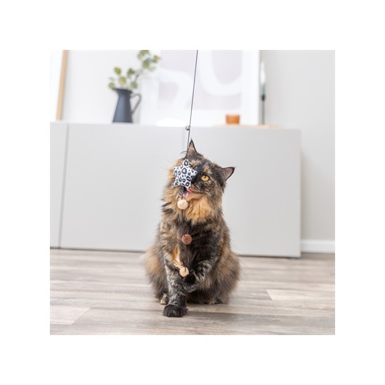 Trixie Kattenhengel Ster Pluche Met Kattenkruid / Catnip