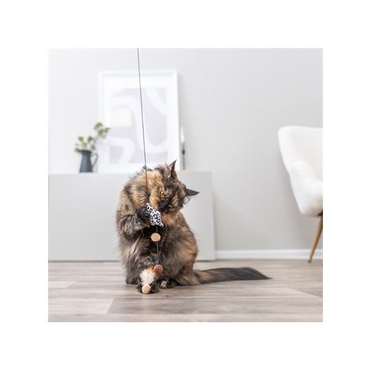 Trixie Kattenhengel Ster Pluche Met Kattenkruid / Catnip