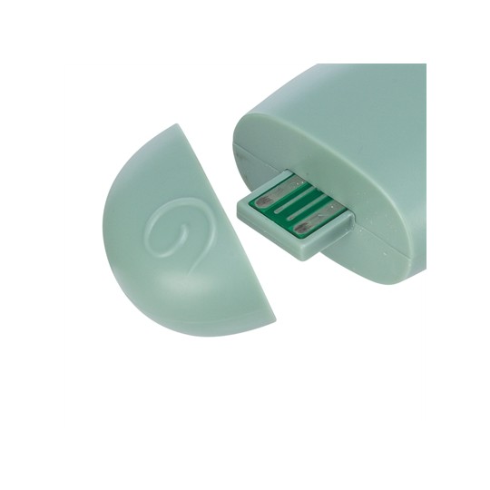 Trixie Laserpointer Kunststof Usb Oplaadbaar Salie