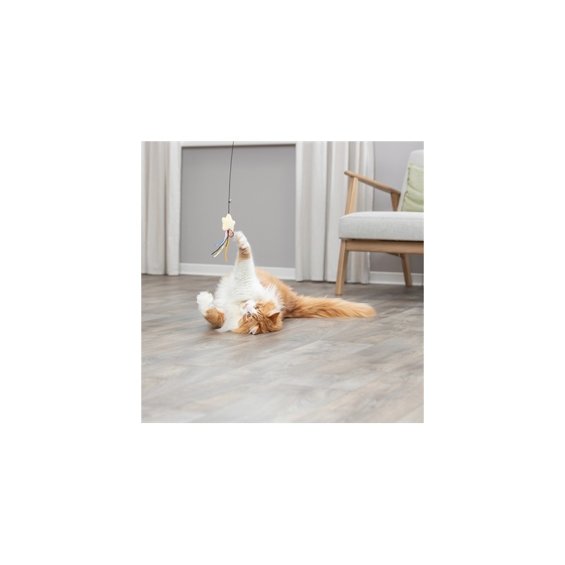 Trixie Kattenhengel Ster Kunststof / Pluche Met Catnip