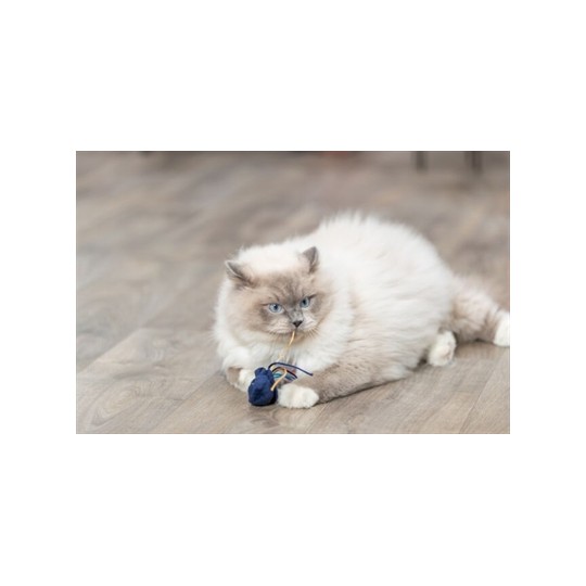 Trixie Zeedier Pluche Met Catnip Assorti