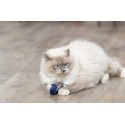 Trixie Zeedier Pluche Met Catnip Assorti