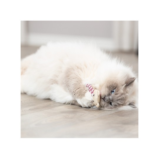 Trixie Beer Stof Met Catnip