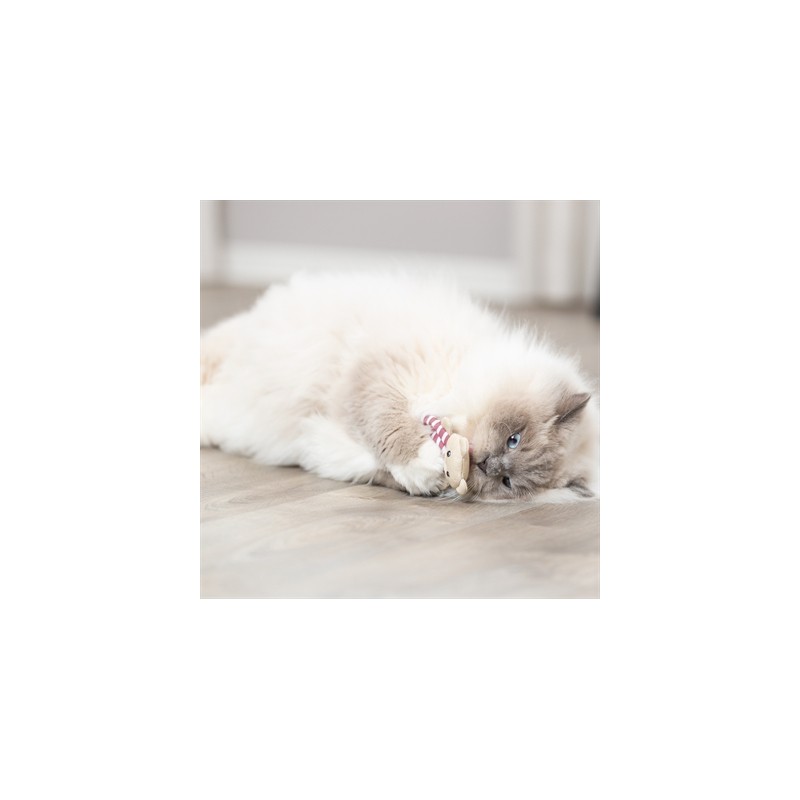 Trixie Beer Stof Met Catnip