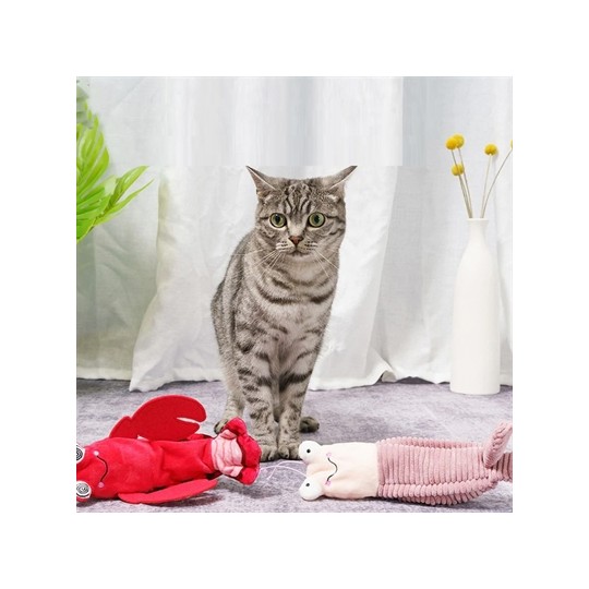 Fofos Crazy Mantis Shrimp