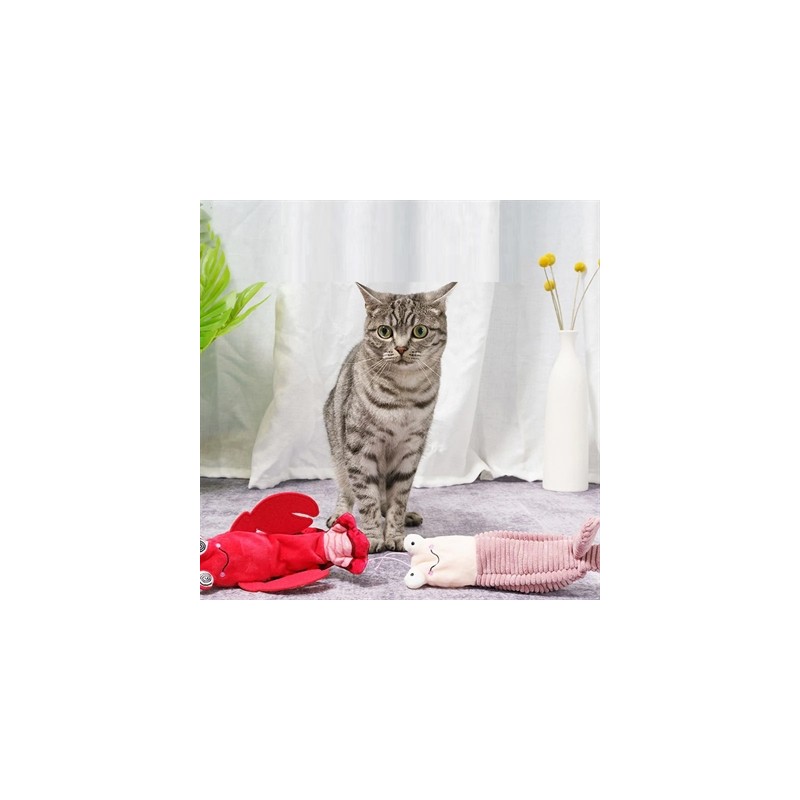 Fofos Crazy Mantis Shrimp