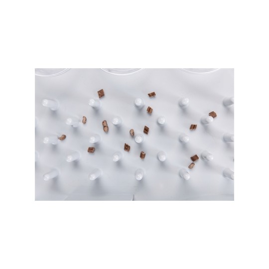 Trixie Cat Activity Fun Bord