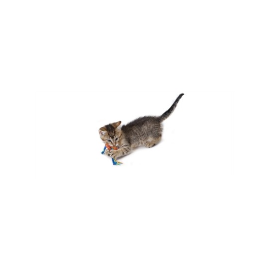 Catstages Catnip Dental Health Chew