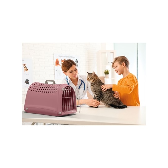 Imac Reismand Linus Roze