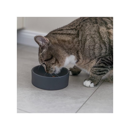 Trixie Voerbak Kat Keramiek Assorti