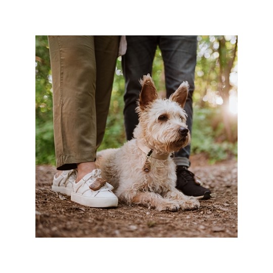 Tickless Eco Teek En Vlo Afweer Voor Mensen Bruin