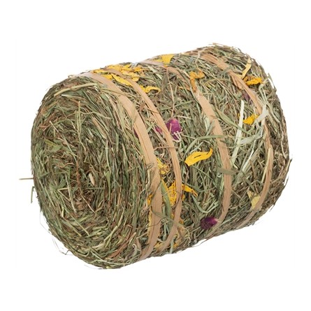 Trixie Hooirol Met Bloesems