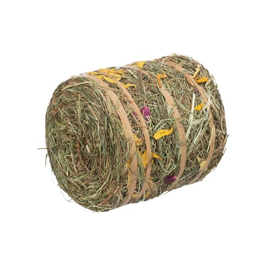 Trixie Hooirol Met Bloesems