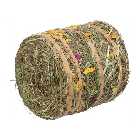 Trixie Hooirol Met Bloesems